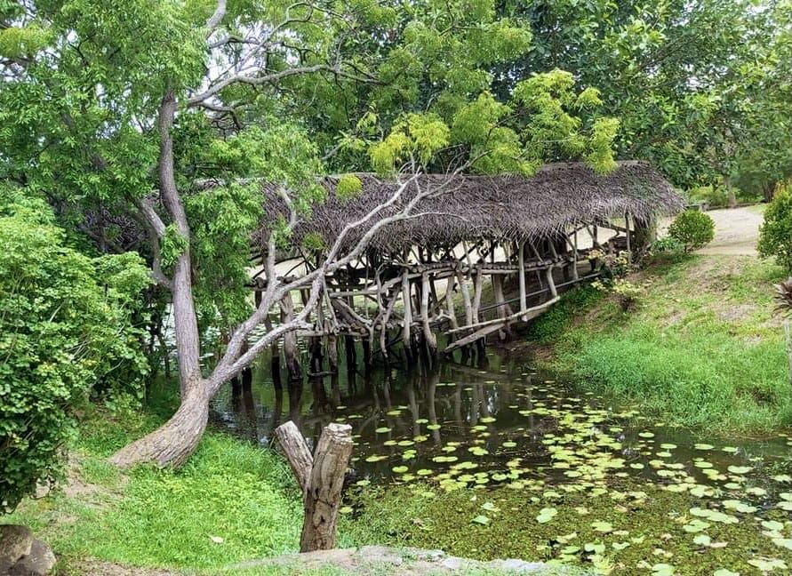 Batatha Agro Technology Park — view 2