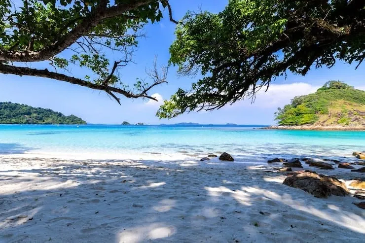 Jungle Beach