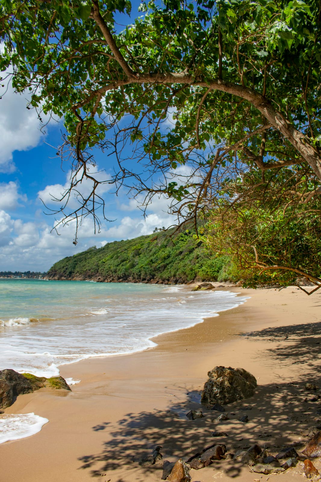 Jungle Beach — view 3