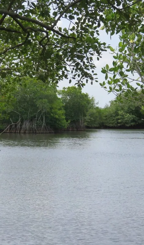 Rekawa Lagoon — view 3