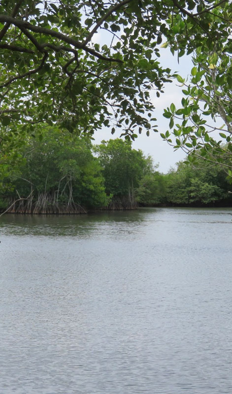 Rekawa Lagoon — view 3
